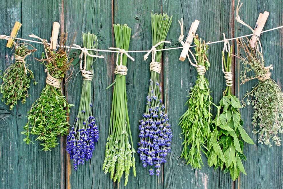 herbs for luck and wellness